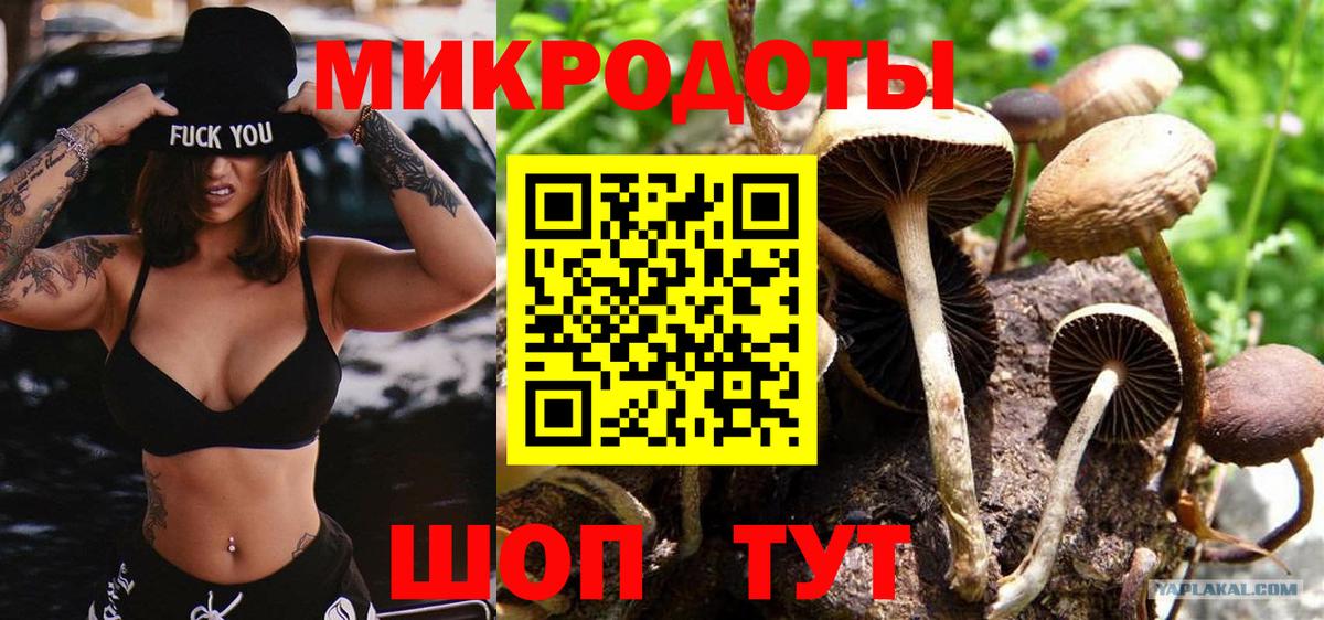 Видное  Псилоцибиновые грибы Psilocybine cubensis  Вход с VPN  Псилоцибиновые грибы Cubensis 