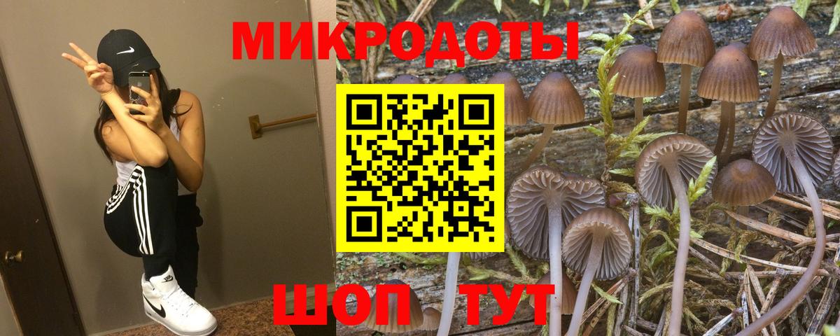 Галлюциногенные грибы Psilocybine cubensis Видное